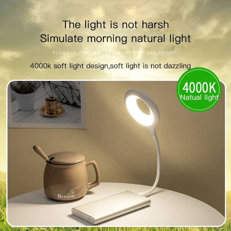 Home Bedroom USB Direct Plug Portable Lamp